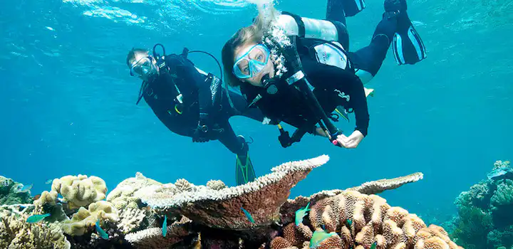 Marine Conservation volunteer project in Belize with IVHQ