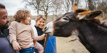 Volunteer on the Animal Care project with IVHQ in Cordoba, Argentina