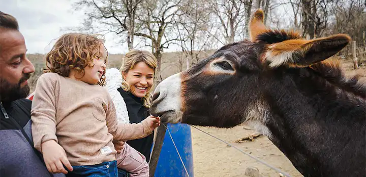 Volunteer on the Animal Care project with IVHQ in Cordoba, Argentina