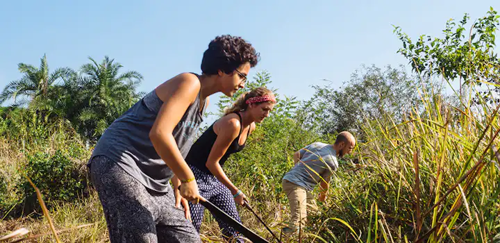 Volunteer on the Agriculture project in Ghana with IVHQ