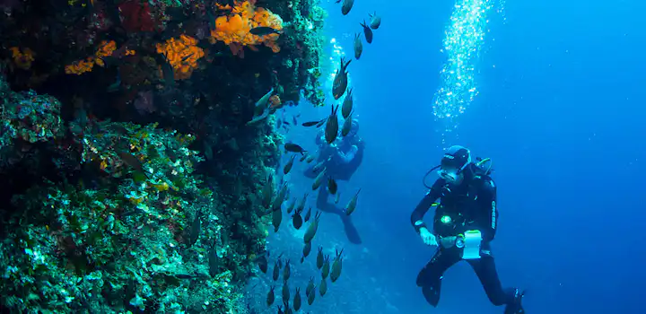 Volunteer on the Marine Conservation project in Greece, Alonissos with IVHQ