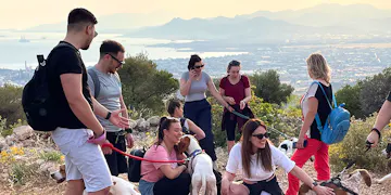 Volunteer on the Animal Care project in Greece, Athens with IVHQ