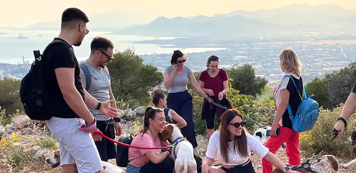 Volunteer on the Animal Care project in Greece, Athens with IVHQ