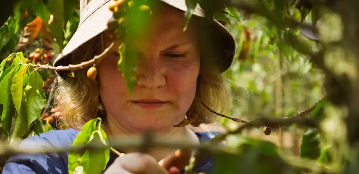 Eco-Agriculture volunteers in Guatemala with IVHQ