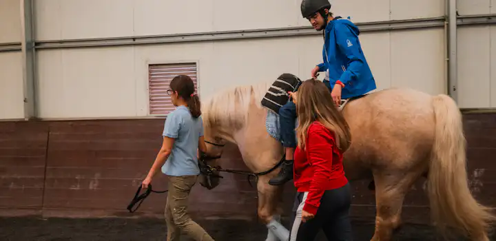 Volunteer on the Therapeutic Horse Care project with IVHQ in Portugal