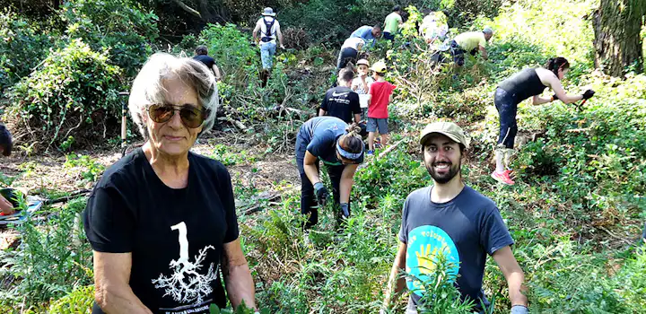 Volunteer on the Forest Conservation project with IVHQ in Portugal