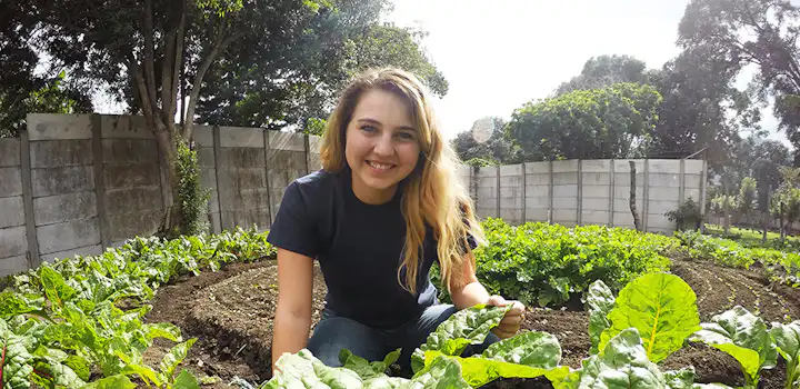 Volunteer on the Sustainable Agriculture Volunteer Project in Romania with IVHQ