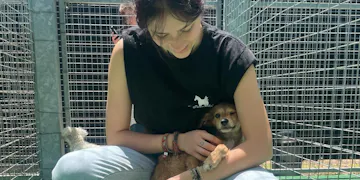 Volunteer on the Animal Care Volunteer Project in Cape Town, South Africa with IVHQ