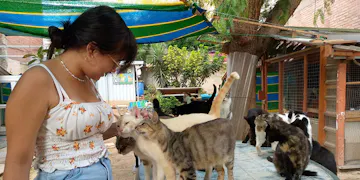Volunteer on the Animal care project in Barcelona, Spain with IVHQ